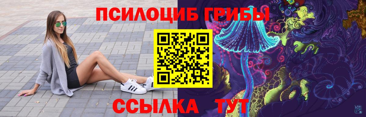 Котлас  Галлюциногенные грибы ЛСД  наркотики  Вход с VPN 